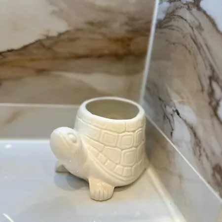 Punta Sol Punta Prima (Alicante)